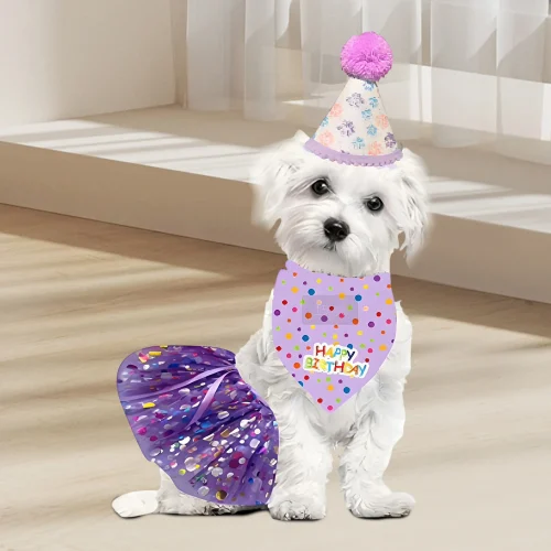 Cute Birthday Costume Set