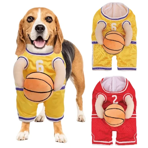Basketball Player Costume