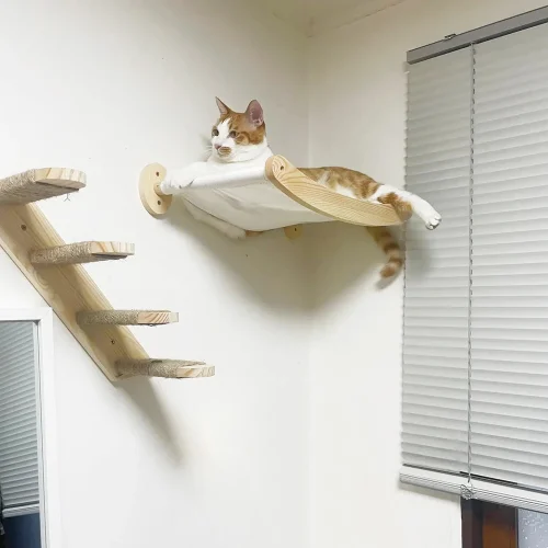 Cat Hammock and Stairway