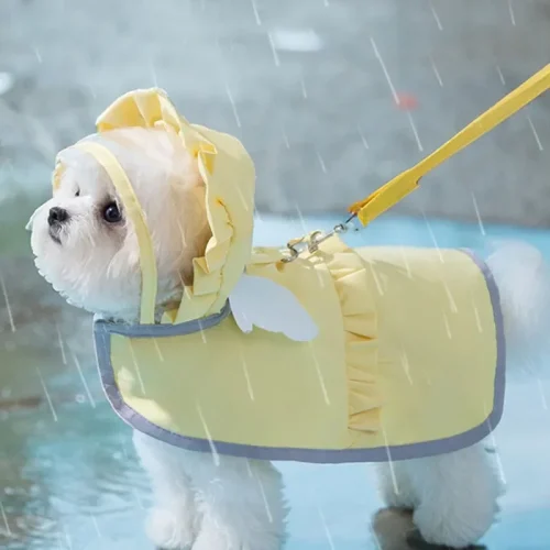 Angel Raincoat
