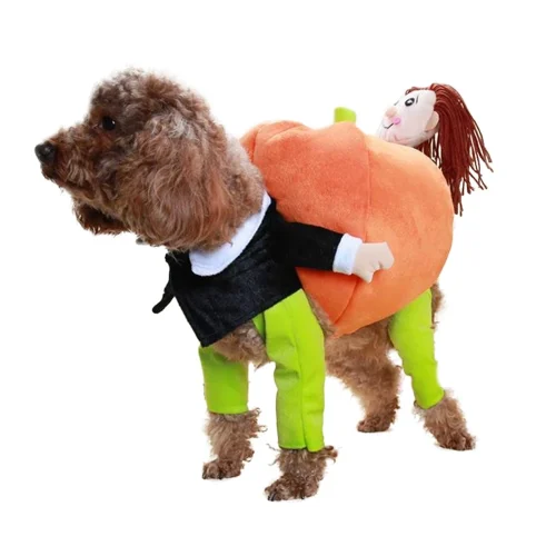 Funny Pumpkin Pet Costume