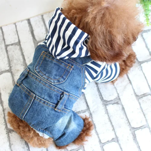 Denim Jumpsuit