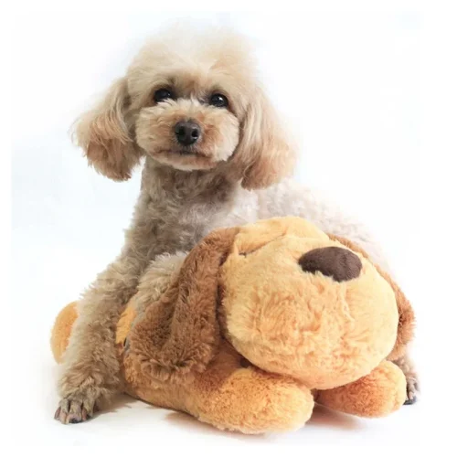 Cute Heartbeat Training Toy