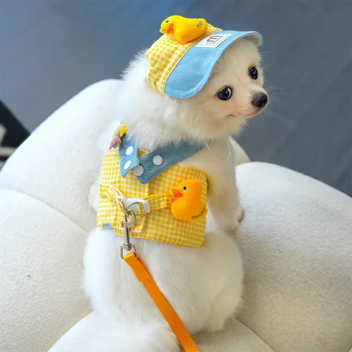 Three-piece Quirky Duck or Frog Chest Harness and Hat