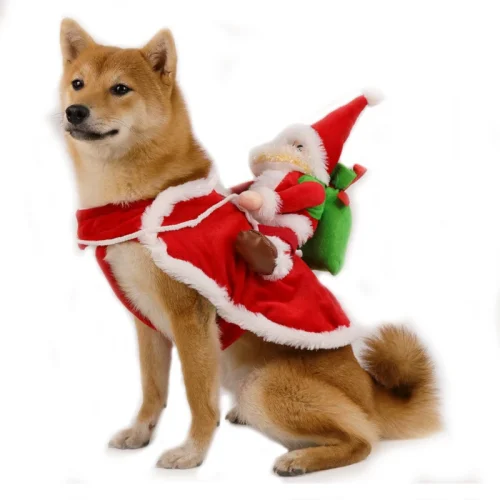 Riding Santa Suit for Dogs