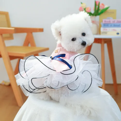 Beautiful New Spring Pet Dress